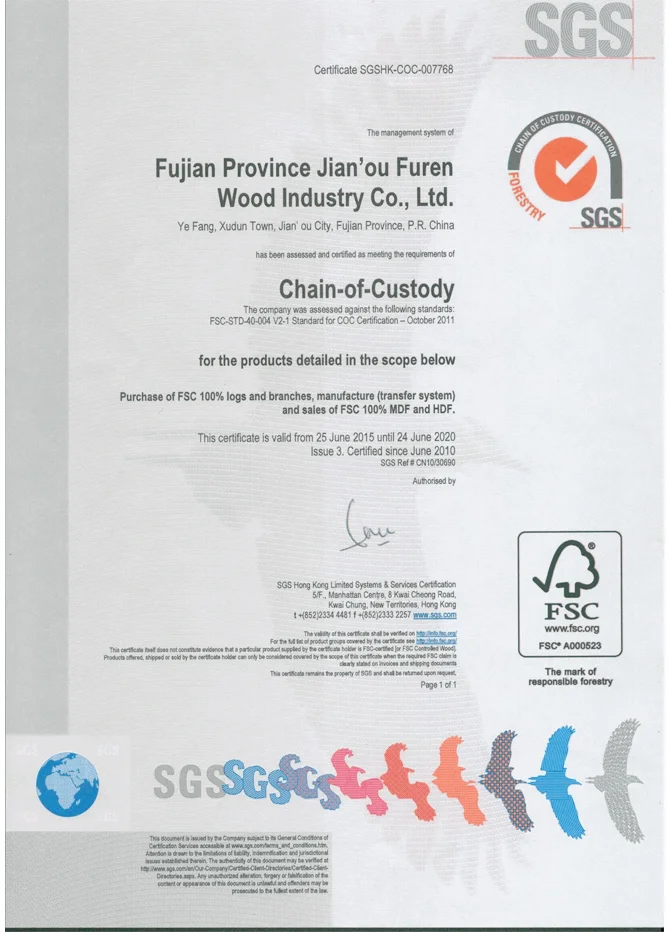 Certificate 1