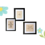 MDF Matted Frame