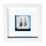A white photo frame featuring a decorative display with two seashells and a small starfish on a textured fabric background.