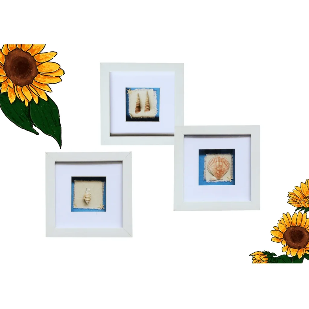 Three white square photo frames showcasing seashell designs on textured backgrounds, surrounded by sunflower illustrations.