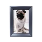 Portrait of a pug displayed in a black modern photo frame against a white background.