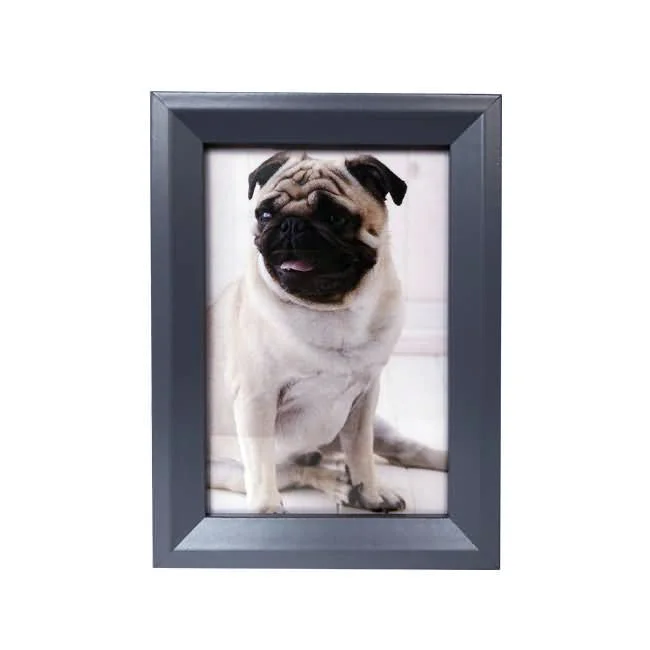 Portrait of a pug displayed in a black modern photo frame against a white background.