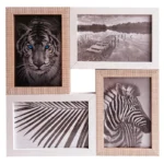 A multi-photo frame with four sections displaying black-and-white images of a tiger, zebra, a landscape, and palm leaves.