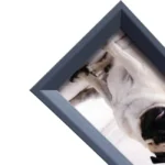 Close-up view of a black photo frame holding a picture of a dog with light fur, showcased at an angle.