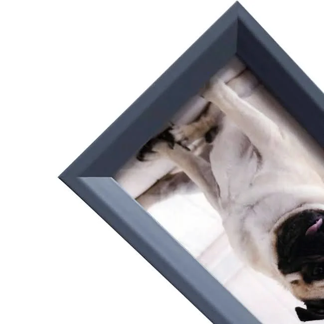 Close-up view of a black photo frame holding a picture of a dog with light fur, showcased at an angle.