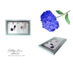 Wall Hanging Frame for Multiple Pictures
