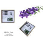 Square MDF wooden photo frame with black, white, and botanical patterns alongside purple flowers on a branch.