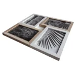 Modern wall photo frame collage featuring four sections with black-and-white prints, including animal and nature themes.