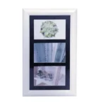 White photo frame with three images: a succulent, cactus, and potted plants, set in a black-bordered layout.