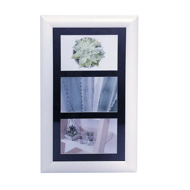 White photo frame with three images: a succulent, cactus, and potted plants, set in a black-bordered layout.