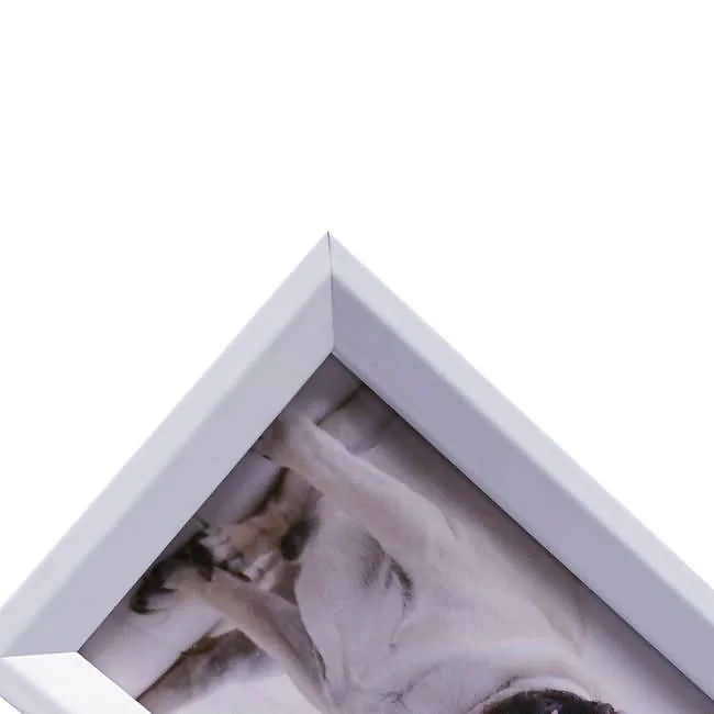 Close-up of a white photo frame corner featuring an image of a dog, highlighting its clean lines and smooth finish.